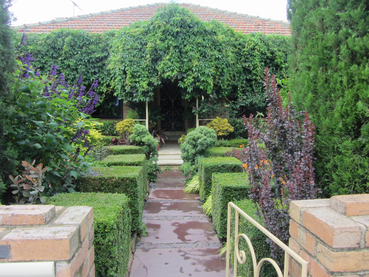 Event Highlight: Sharon Harris’s Open Garden