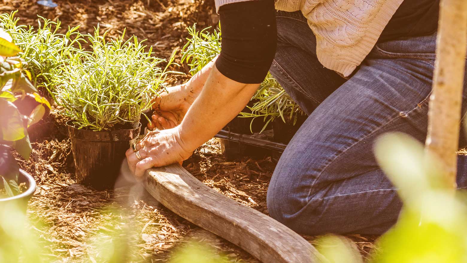 A woman kneeling in the garden