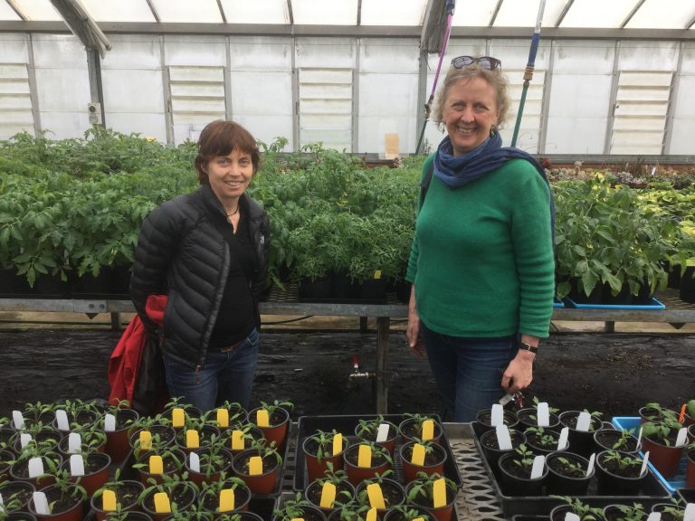 Karen and Penny Karen and Penny standing in a greenhouse