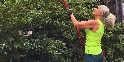 Spotlight on a Member: Linda Day