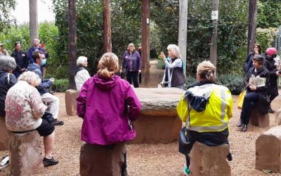 Event highlight: Tour of Alowyn Gardens & Lunch