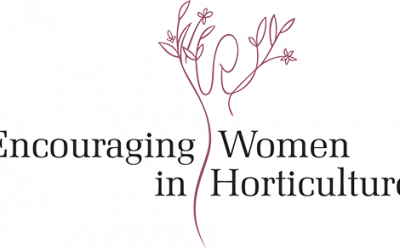 Mental health webinar