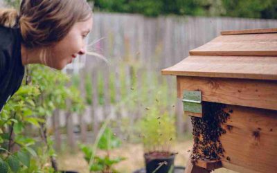 Event Highlight: Beekeeping Webinar
