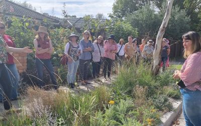 Event Highlight: Jac Semmler’s Open Garden