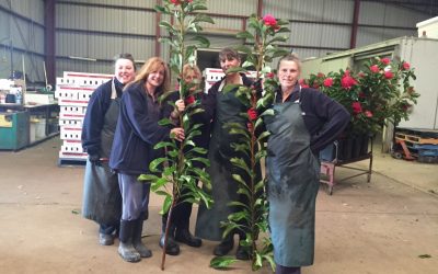 Spotlight on a member: Sarah Burgess