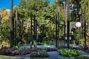 garden with grey paving, tall black posts and screens at the back with foliage plantings of green and purple