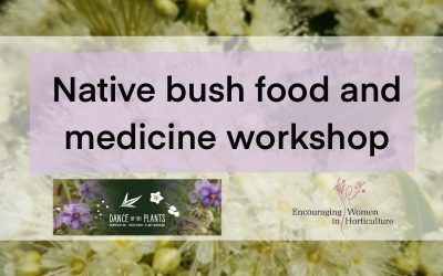 RESCHEDULED Native Bush Food and Medicine Workshop
