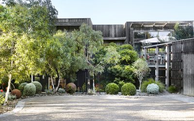 EWHA Proudly Presents: Roraima and Sunnymeade Tours