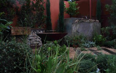 MIFGS 2023: Bringing the Mediterranean to Melbourne by Annabel Jane Johnston