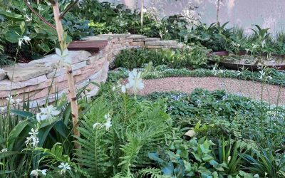 MIFGS 2023: Restorative Garden by Carrie Chen and Reece Dellora