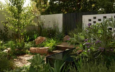 MIFGS 2023: Urban Wild by Josie Wilson and Suzannah Kennett Lister