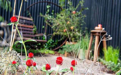 MIFGS 2023: Orbis by Carla Perry