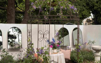 MIFGS 2023: Teva Nook by Clair Derwort