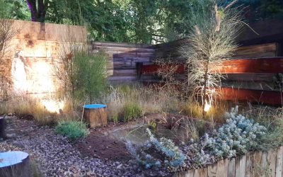 MIFGS 2023: It’s Not Nothing by Pauline Lane