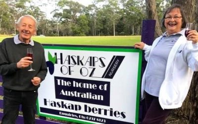 Spotlight on a member: Denise Wilcockson