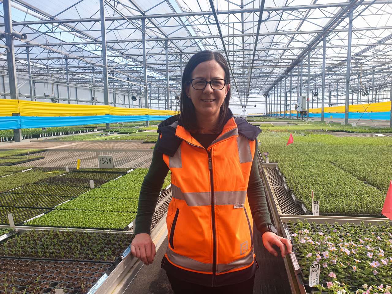 Verdant Sept 2023 Amy Akers image 1