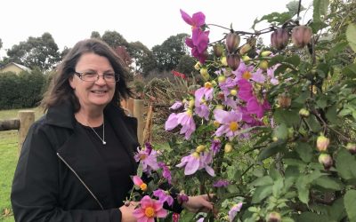 Spotlight on a member: Deb Collett