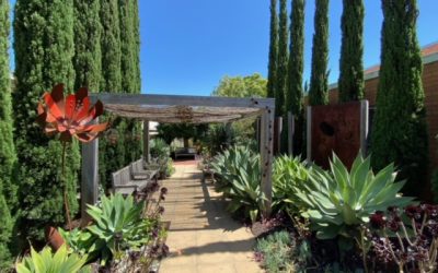 Tour of the sensory gardens at Royal Talbot Rehabilitation Centre with Steven Wells and Sandra Schwarz