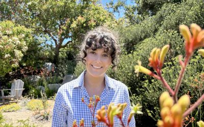 Final Event for 2024: Celebration Dinner with Chloe Thomson