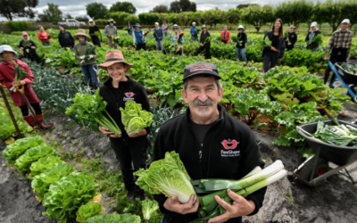 Visit to FareShare Charity Kitchen Gardens