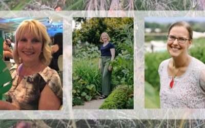 Green Beginnings- Insights into launching a landscape design career