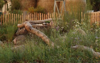 MIFGS 2024: Through the Looking Glass by Emmaline Bowman and Liam Riley