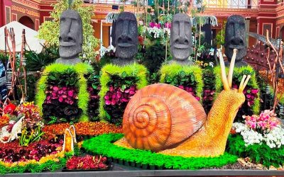 MIFGS 2024: Collectors Corners Visual Display