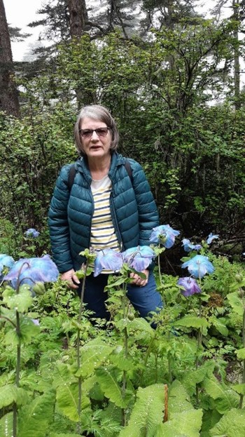 Rosemary with Meconopsis betonicifolia