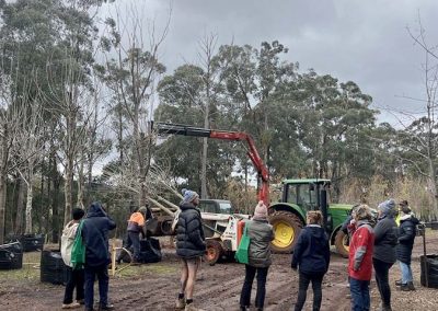 The EWHA team watching trees being moved