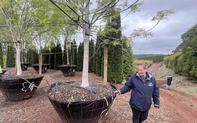 Event Highlight: Tour of Established Tree Transplanters