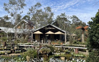 Luncheon at Kuranga Native Nursery