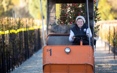 Warners Nursery Tour