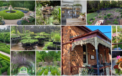 Alowyn Gardens and Edible Forest