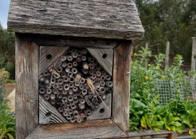 Insect hotel