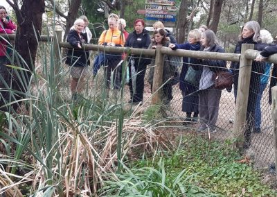 Group of horticultural enthusiasts viewing a turtle enclosure at Willum Warrain