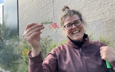 Horticultural Hero: Emma Cutting