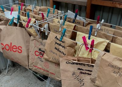 Seed storing at Willum Warrain