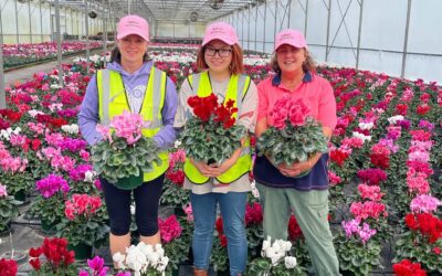 Spotlight on a Member: Faith Yao