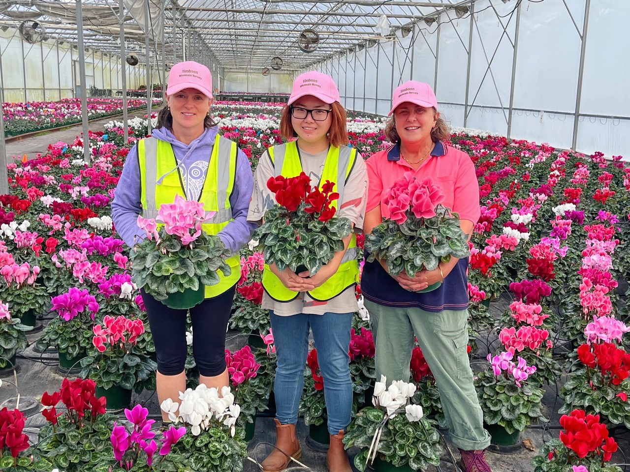 Faith Yao with 2 female colleagues standing amongst hundreds of flowerpots in Timboon wholesale Nursery.