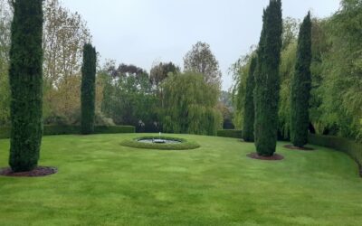 Event Highlight: Verdicus