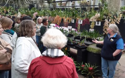 Event Highlight: Collectors Corner