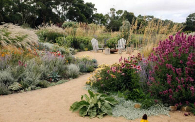 Native nursery & coastal garden tour SOLD OUT