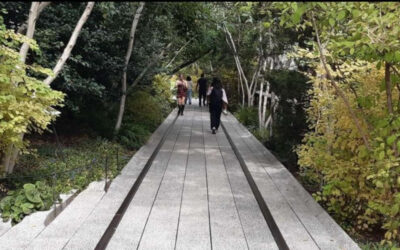 The High Line garden
