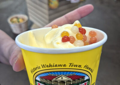 Photo of a cup full of ice cream with coloured balls on top. The cup says Hawaii Plantation.