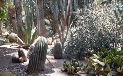 A Garden Journey in Marrakesh