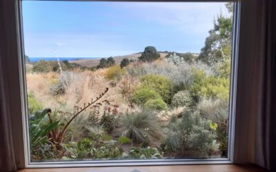 Event Highlight: Native nursery & coastal garden tour