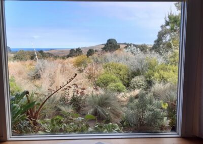 View of Jo Ferguson's garden from her living room