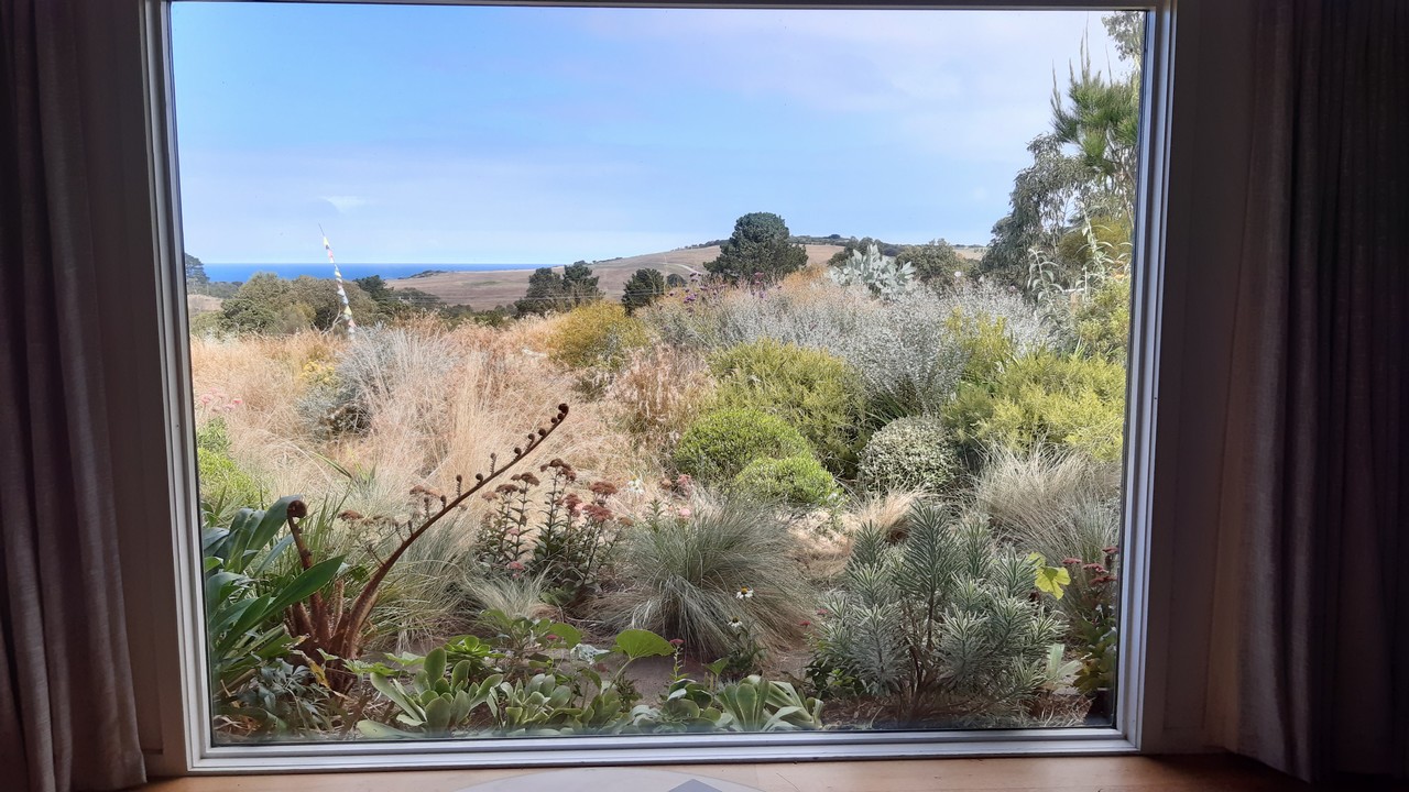View of Jo Ferguson's garden from her living room