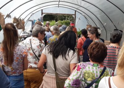 Group of women inside a grow tunnel at Shoreham native nursery