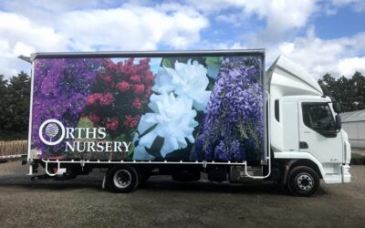 Spotlight on a Member: Anna Orth